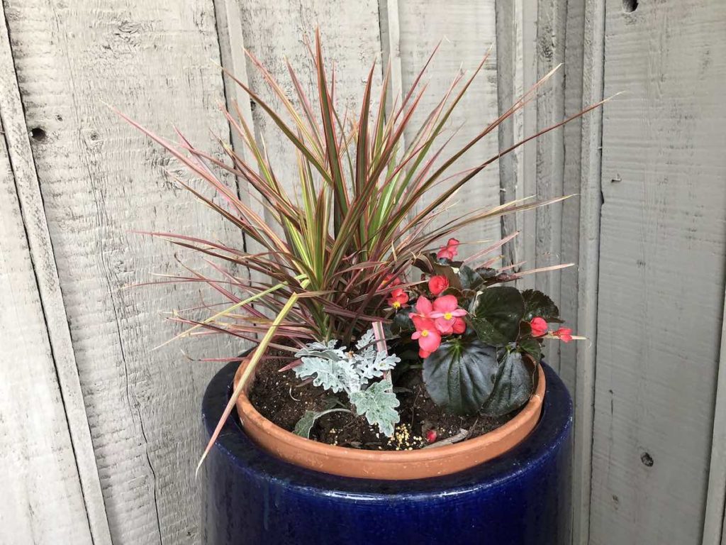 Flower Pot Ideas from a Master Gardener (with Deer Resistant Flowers