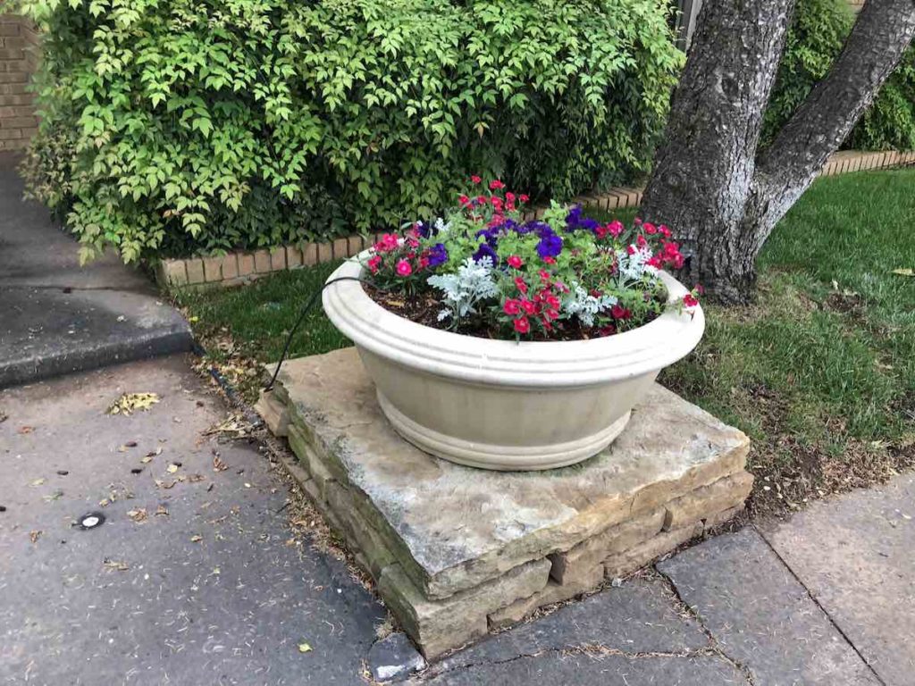 Flower Pot Ideas from a Master Gardener (with Deer Resistant Flowers
