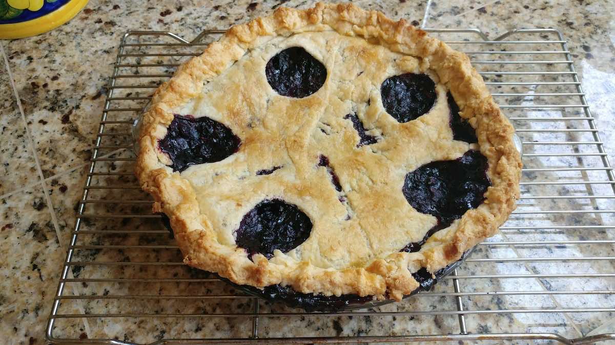 The Most Delicious Blueberry Pie Recipe   Marie Bostwick