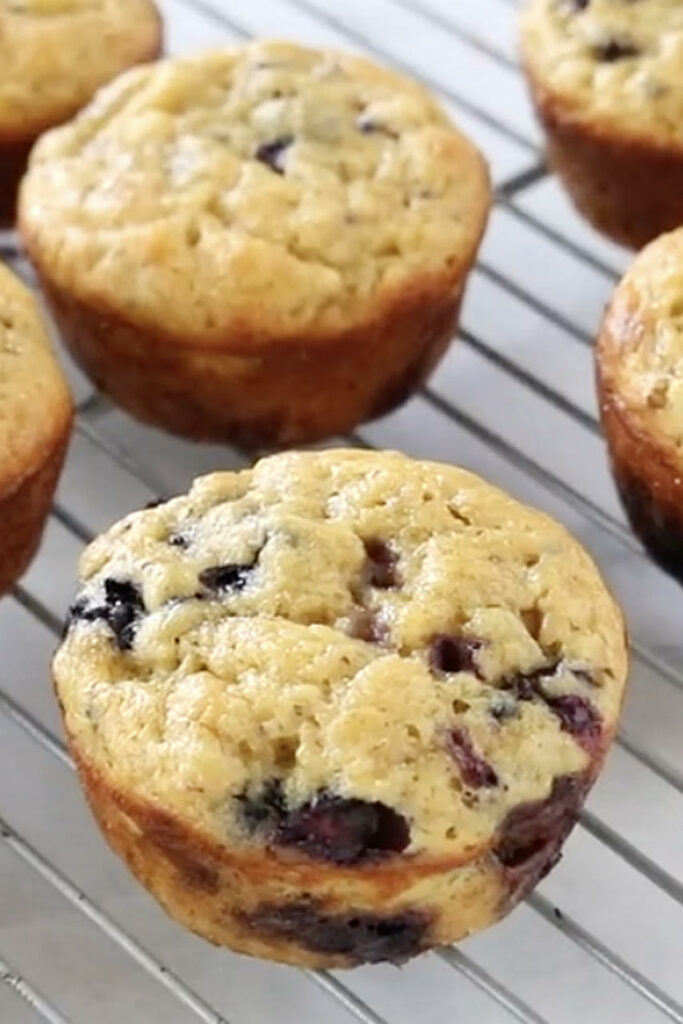 one blueberry miracle muffin