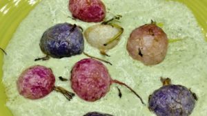 roasted radishes