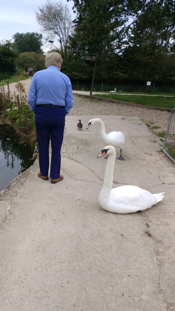 trout farm cotswolds