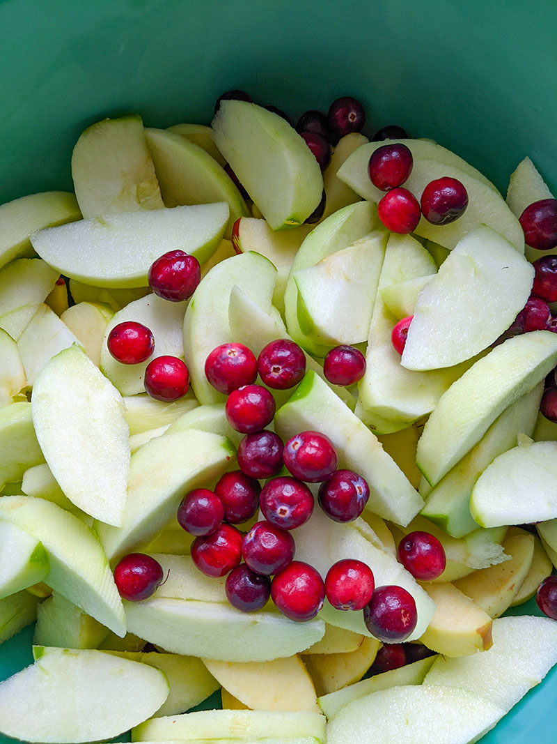 Apple and Cranberry Tart