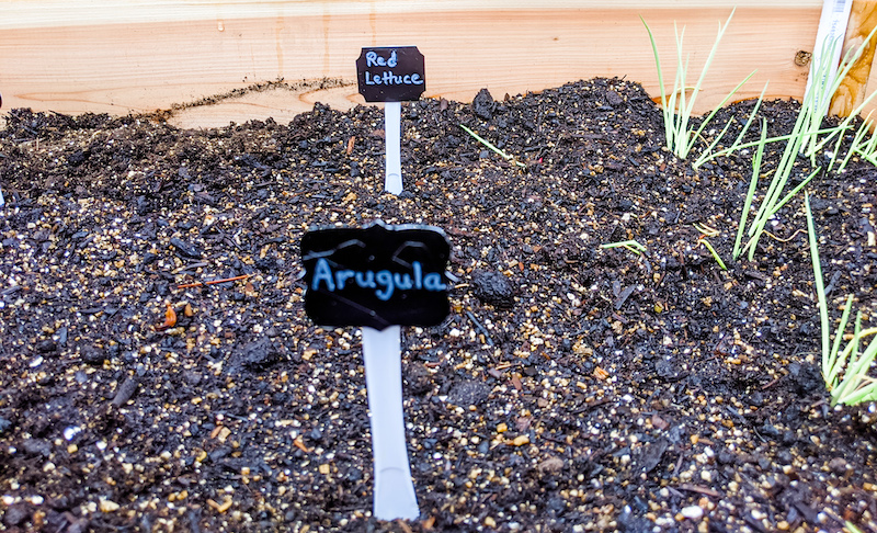 Complete DIY Garden Markers