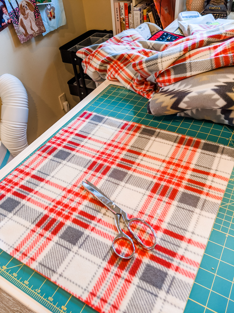 DIY Stadium Blanket and Cushion - Marie Bostwick