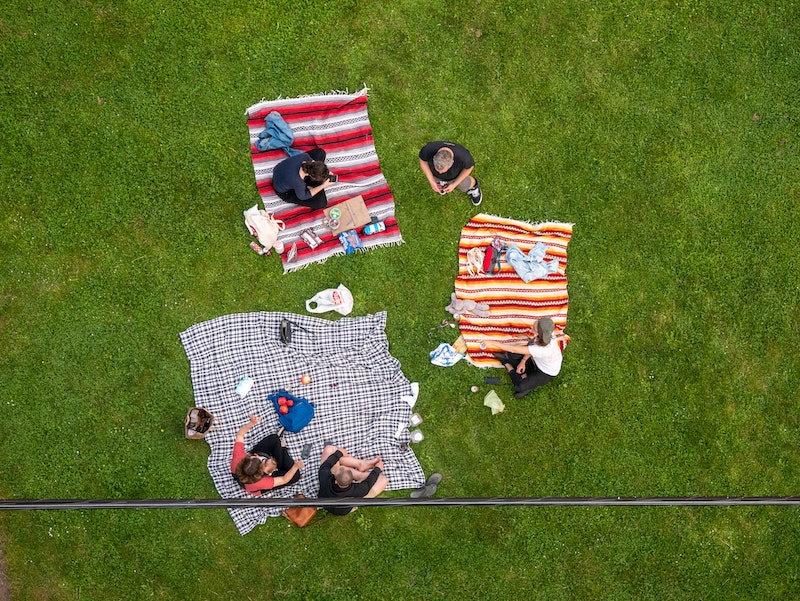 Socially Distanced Picnic