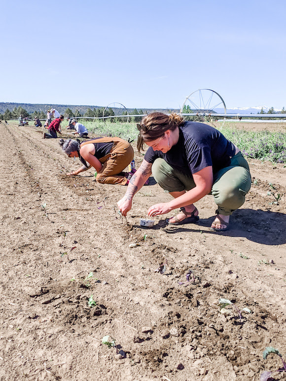 Helping on a Farm