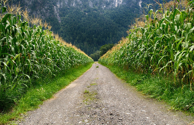 Farmland