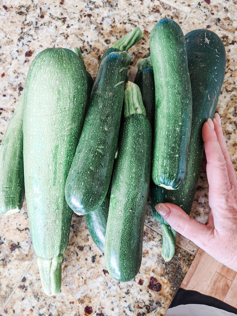 a lot of Zucchini