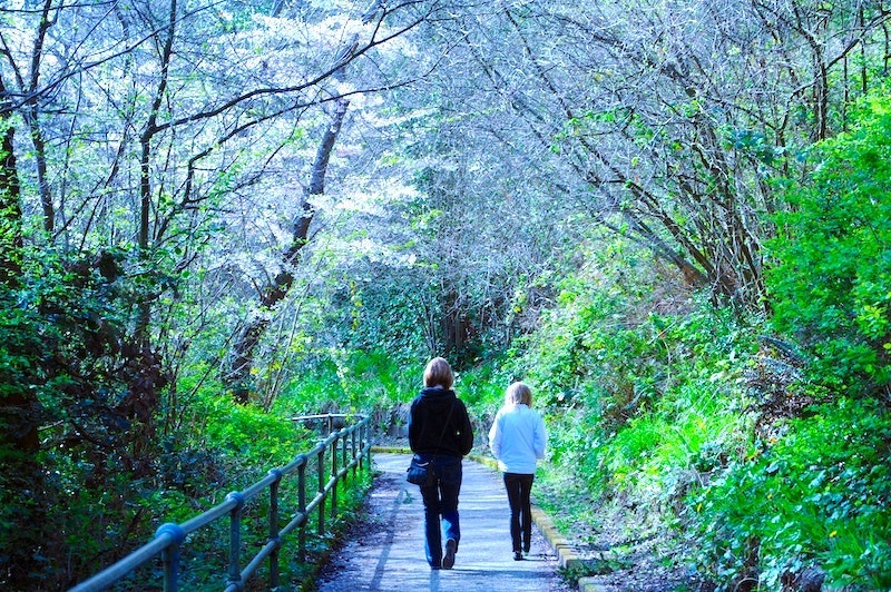 Some things to do to Stop worrying include going for a walk - two women walk down a boarded outdoors path surrounded by trees