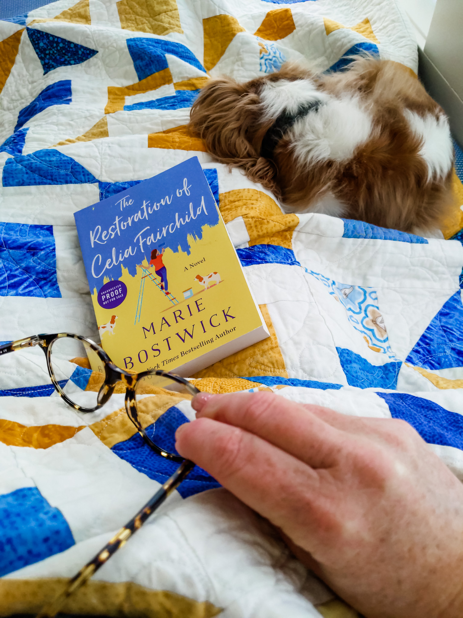 A copy of The Restoration of Celia Fairchild on a quilt, with Marie's sleeping dog in the background.