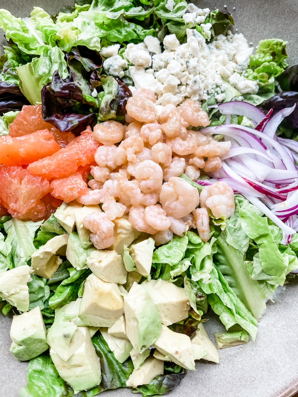 The finished Grapefruit and Gorgonzola Salad with Shrimp