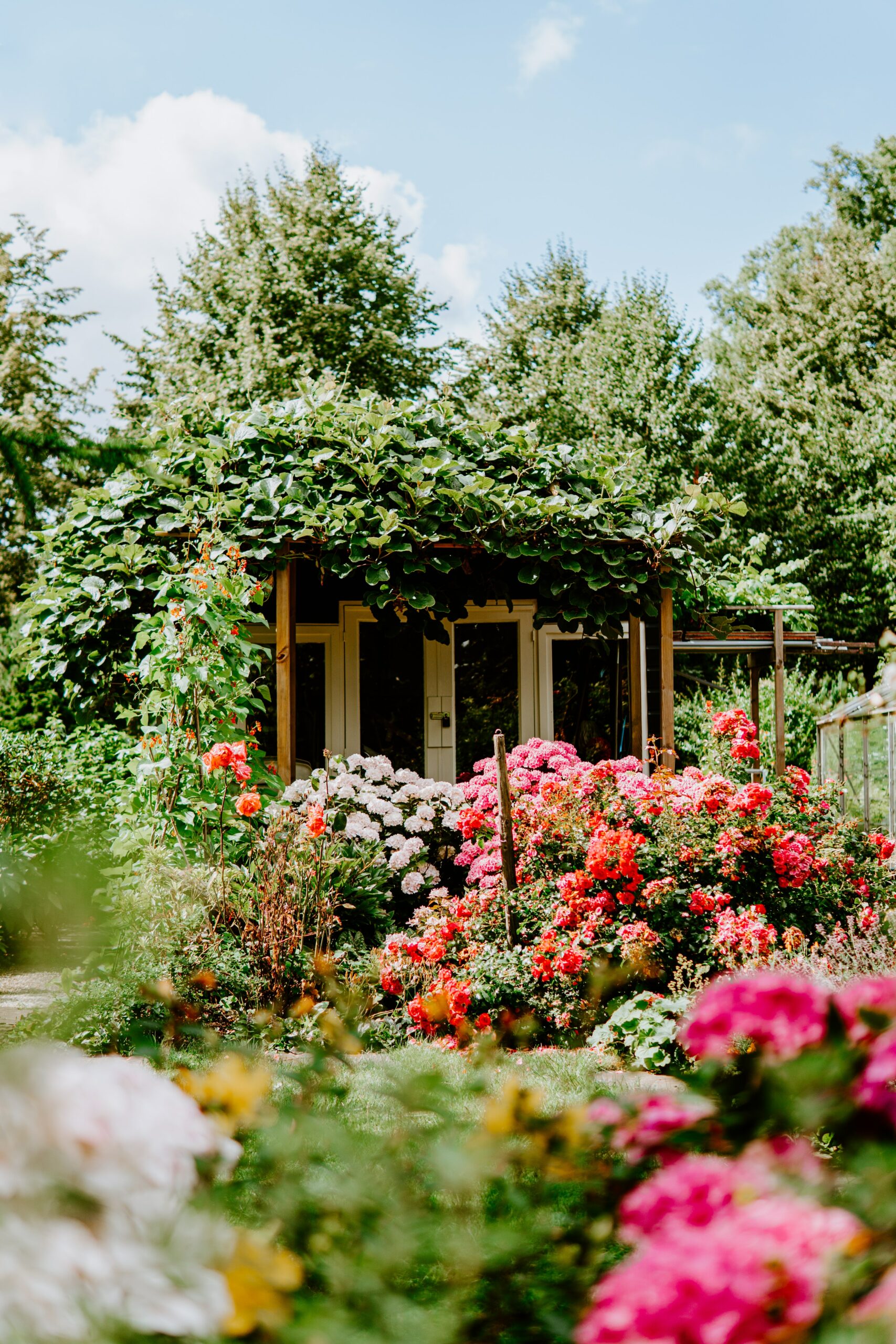 A house covered in plants and flowers