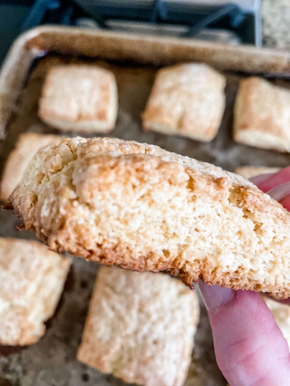 The finished Homemade Shortcake Biscuits out of the oven