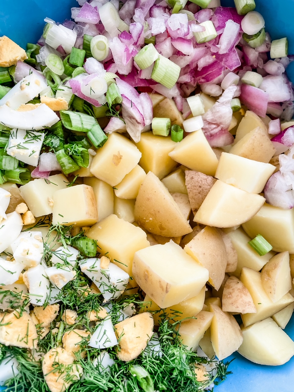 The ingredients for the salad, mixed together in a bowl