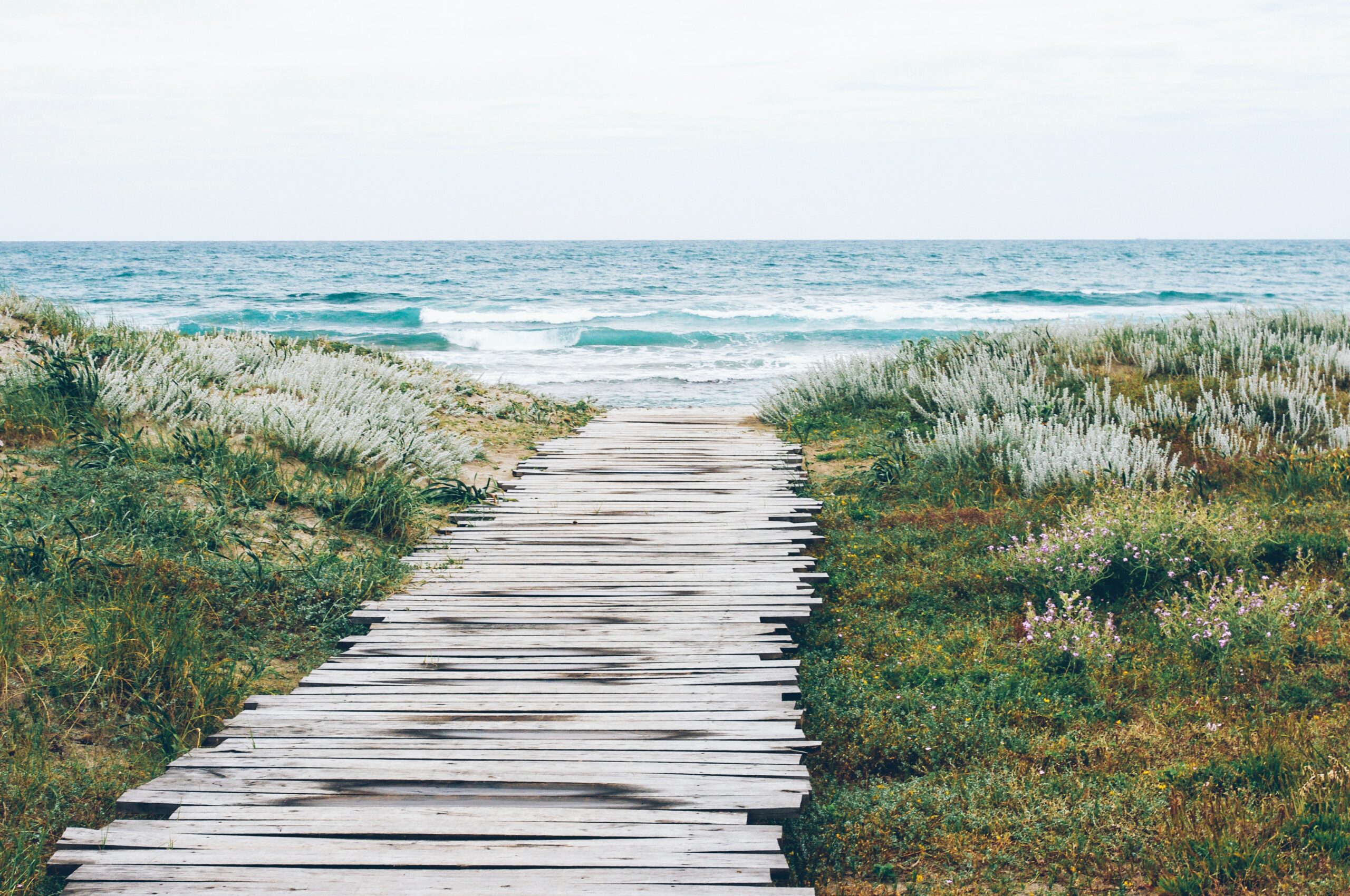 A boardwalk leading to an oceanfront