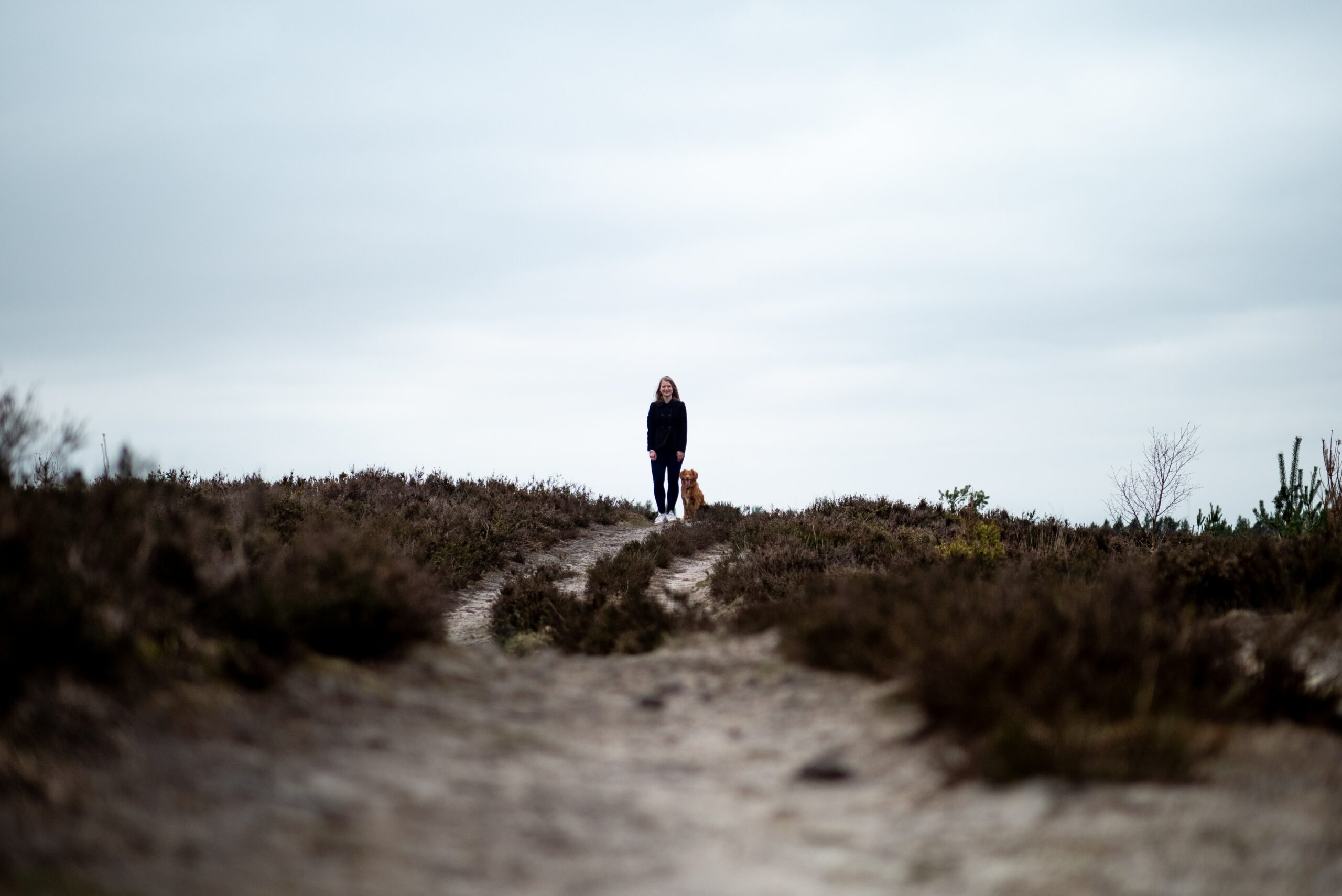 a woman and her dog on a boardwalk - tips for a happier life