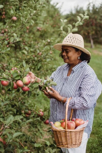 A woman spending otime outdoors by picking apples - one of the recommended personal practices
