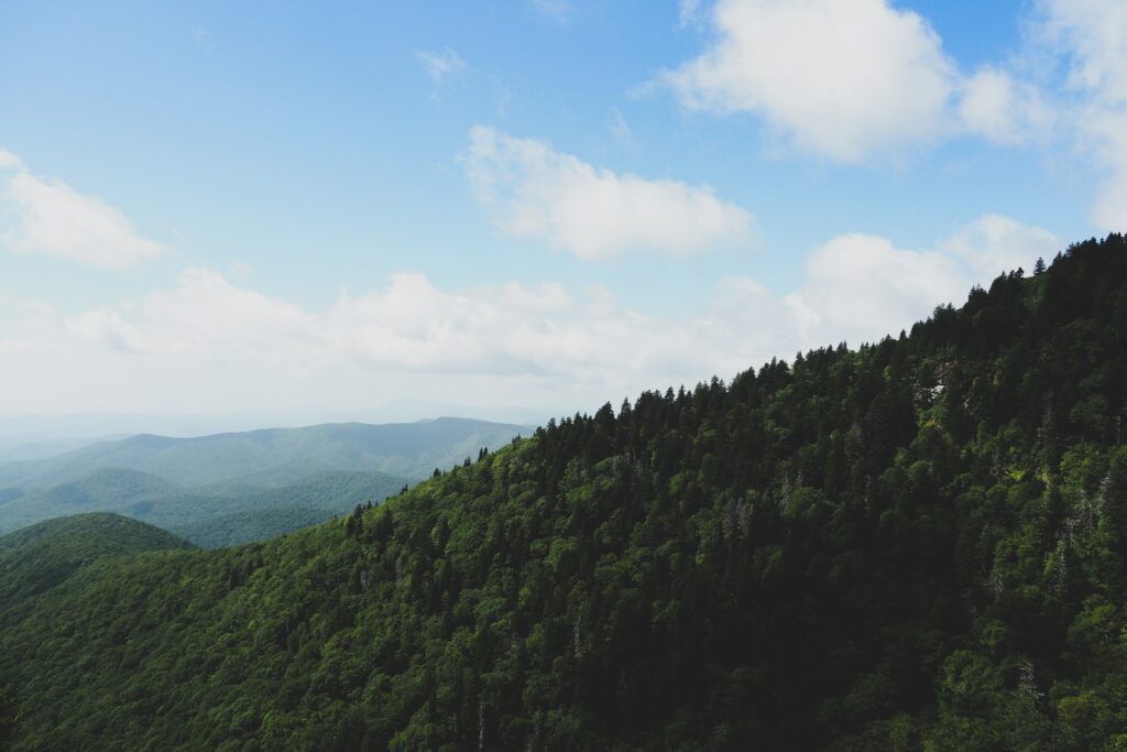 The reason behind Asheville's nickname - large expanse of green mountains