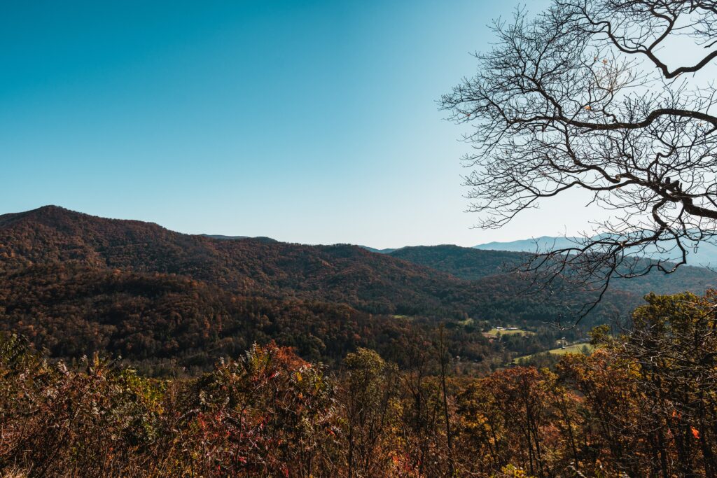 A view of a mountain covered in fall foliage - Asheville, NC in a Day