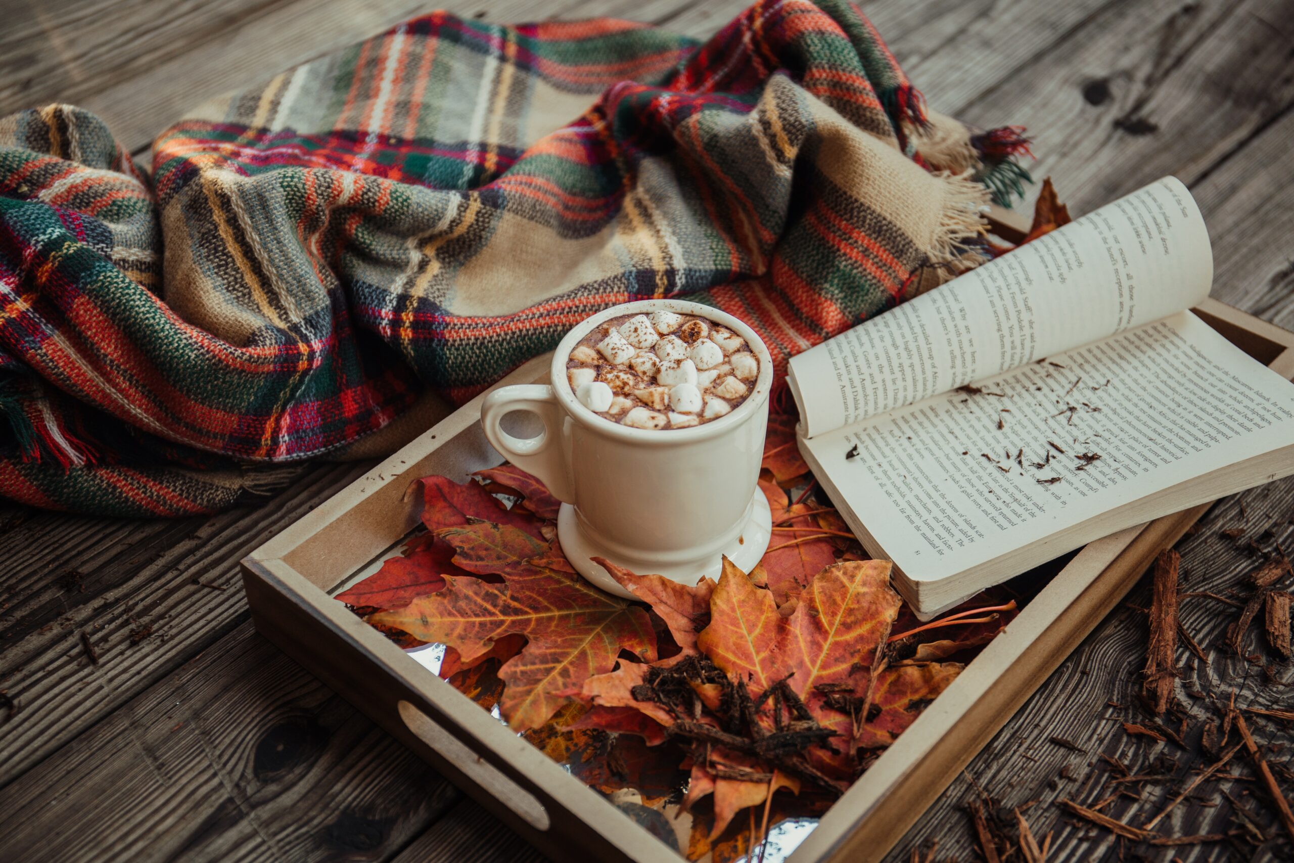 A pile of leaves with a book on top, a mug of hot chocalate set upon the book