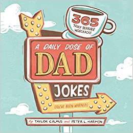 A Daily Dose of Dad Jokes: 365 Truly Terrible Wisecracks, one of the literary gifts for all the men in your life