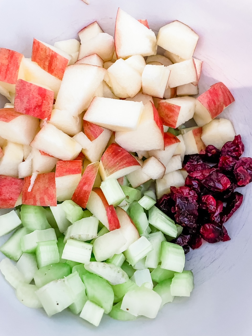 The chopped up apples, celery, and craisins pooled together