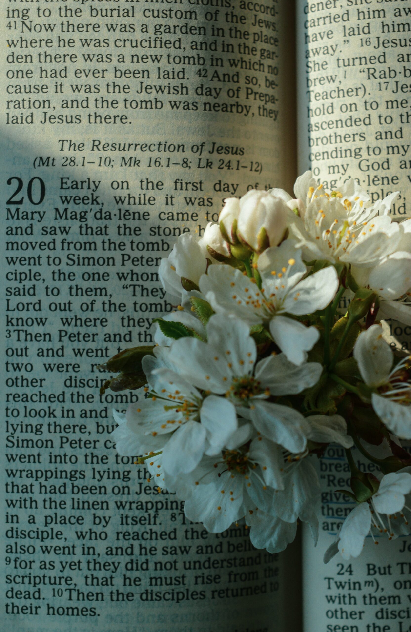 A bible page with a bouquet of flowers placed on top