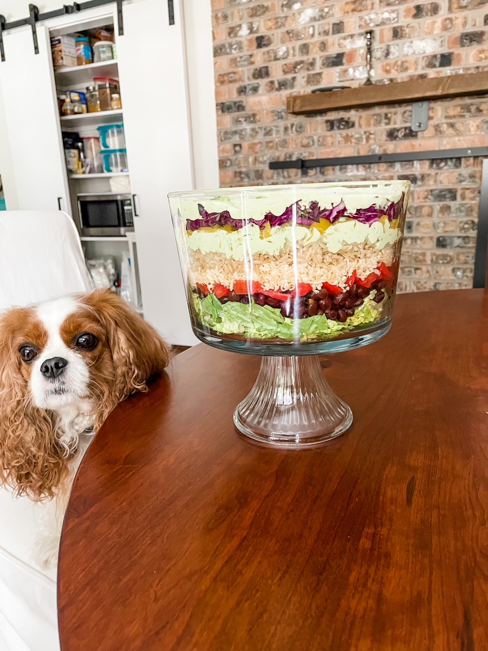 Marie's dog gazing at the The Vegetarian Layered Salad with Avocado and Lime Dressing served in a trifle dish 