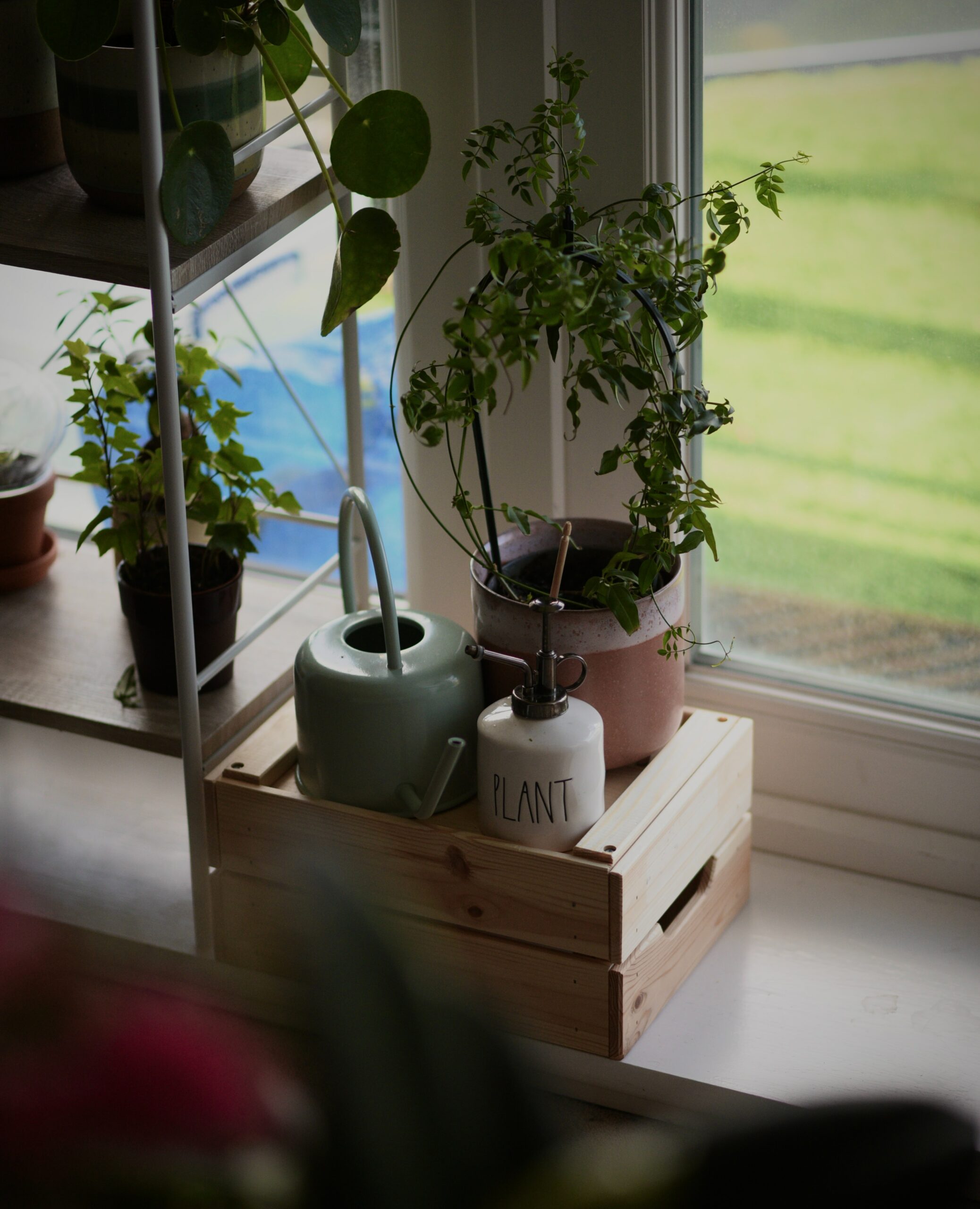 DIY plant spray bottles near a cart