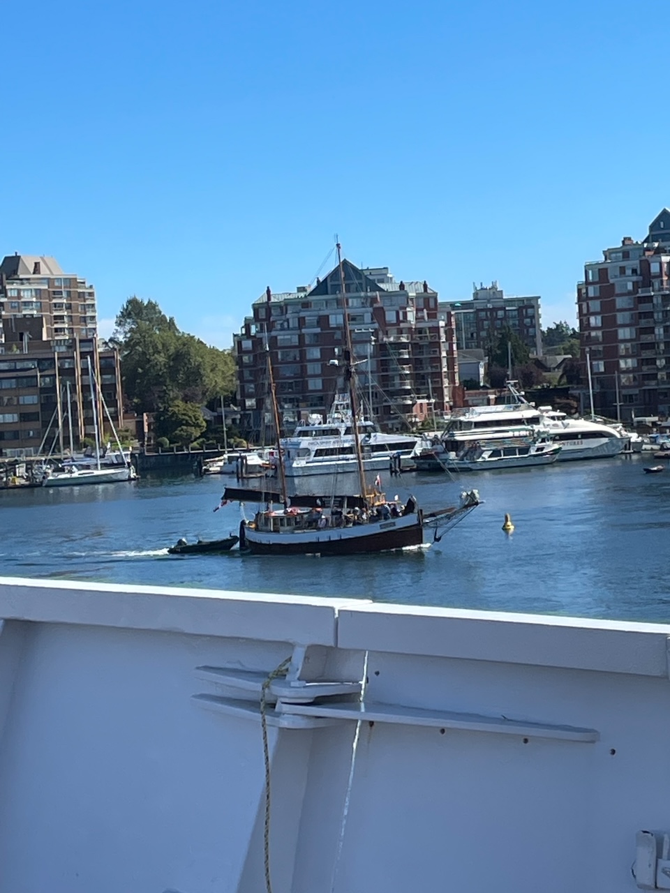 A view of Victoria's docks from a ferry