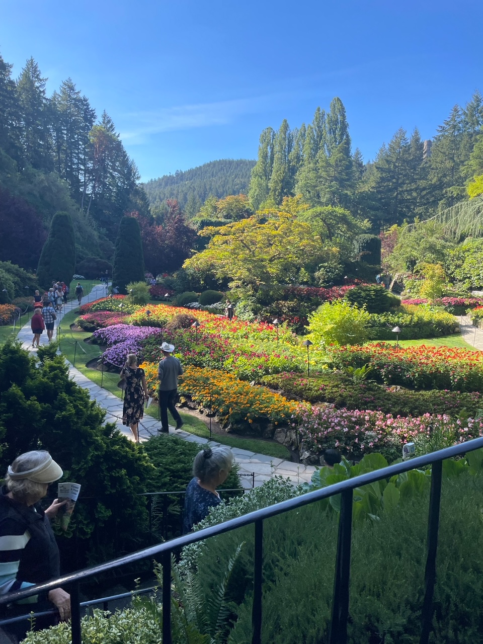 Some of Victoria's gardens