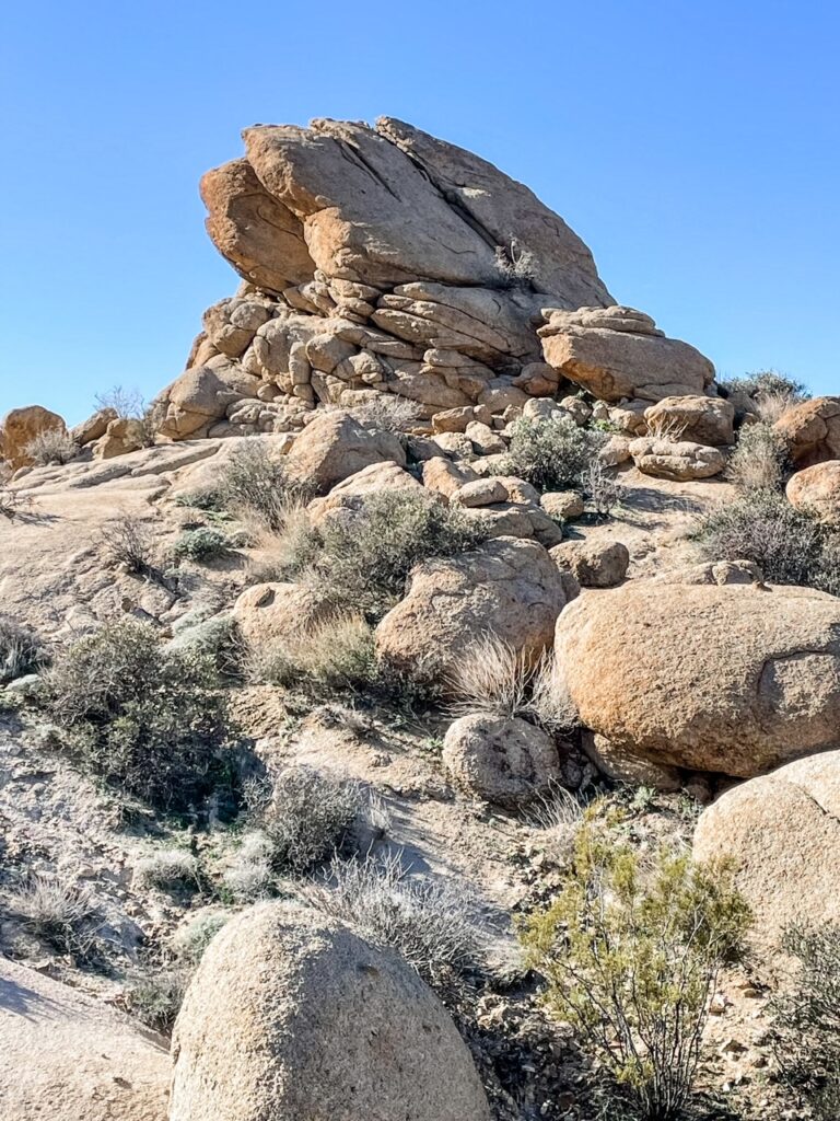 A view of the desert scenery