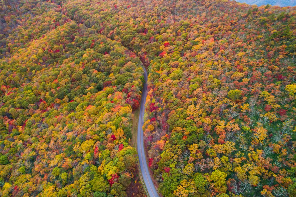 Blue Ridge Parkway seen from an aerial view in the fall