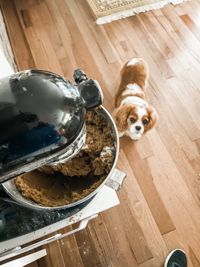 The batter being mixed as Marie's dog watches